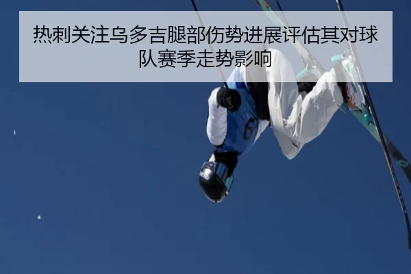 热刺关注乌多吉腿部伤势进展评估其对球队赛季走势影响